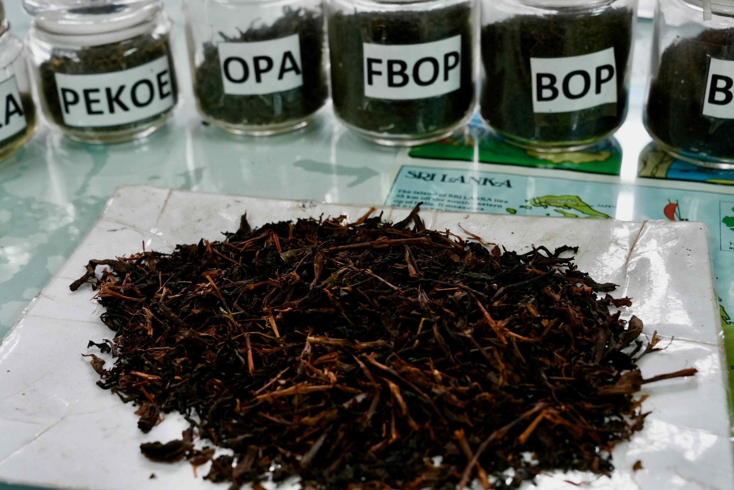 PEKOE・OPA・FBOP・BOPなど等級ごとの茶葉サンプル