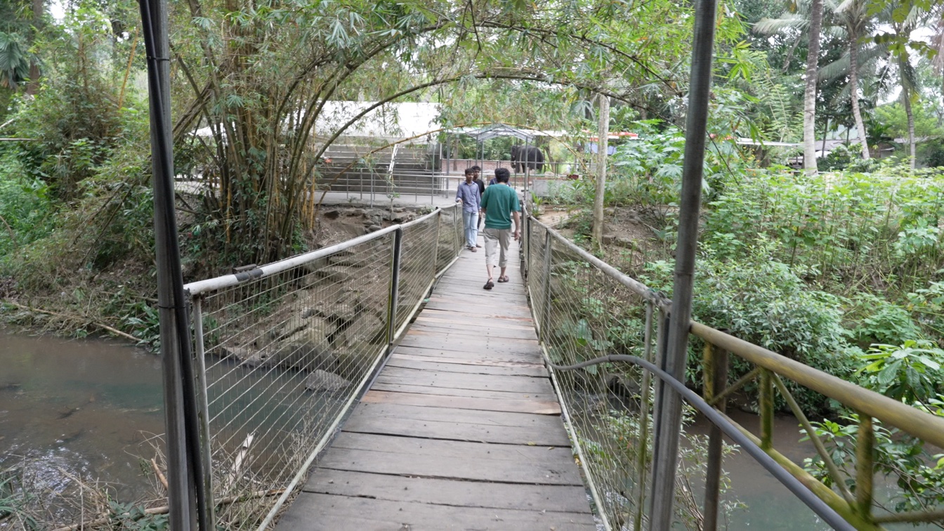 象エリアへと続く吊り橋
