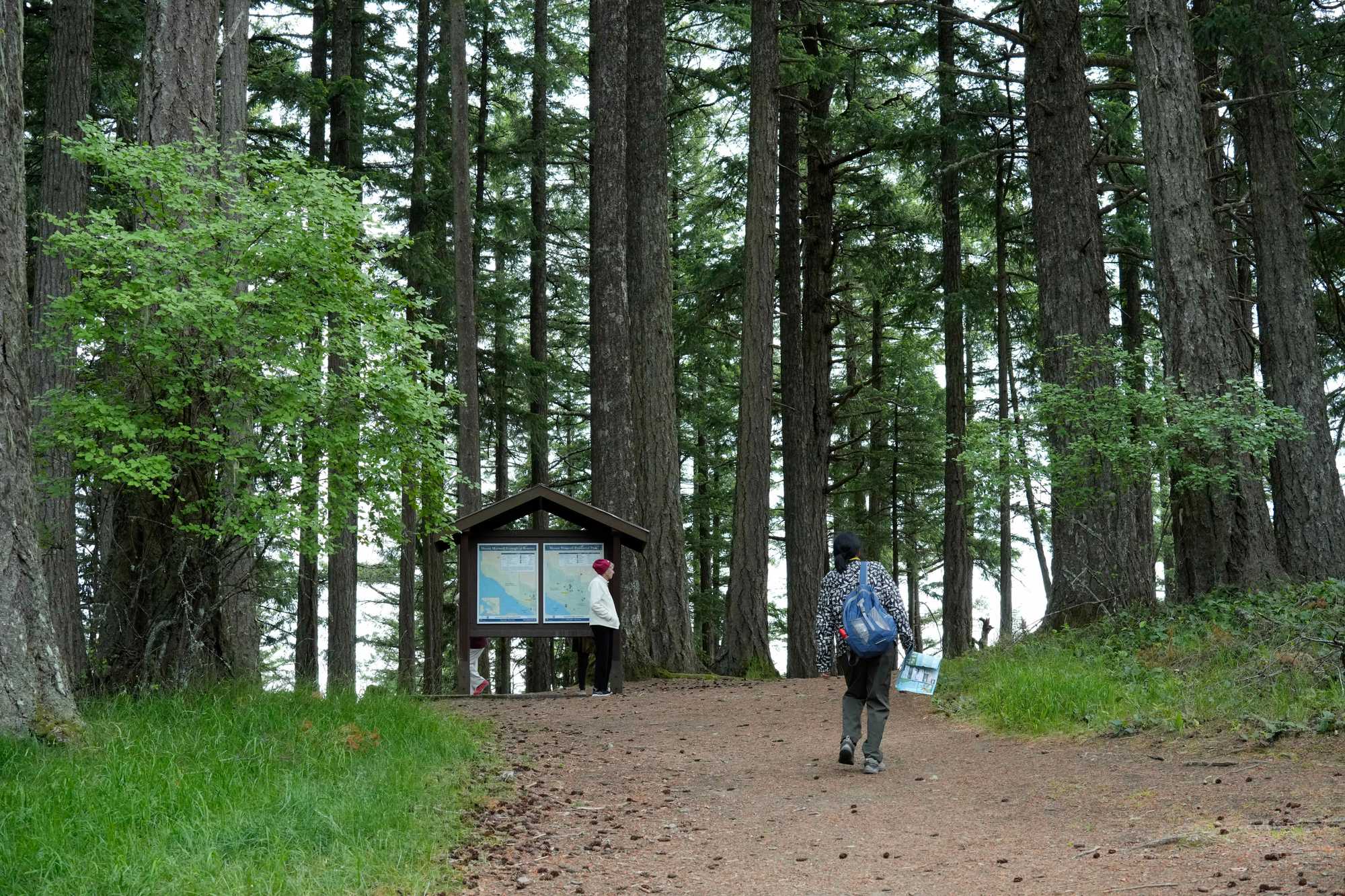 Mount Maxwell Provincial Parkの入口