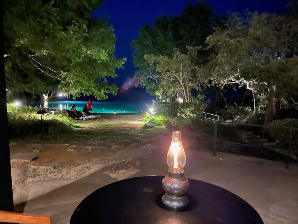 夜のプールに映る灯りと闇に沈むジャングル