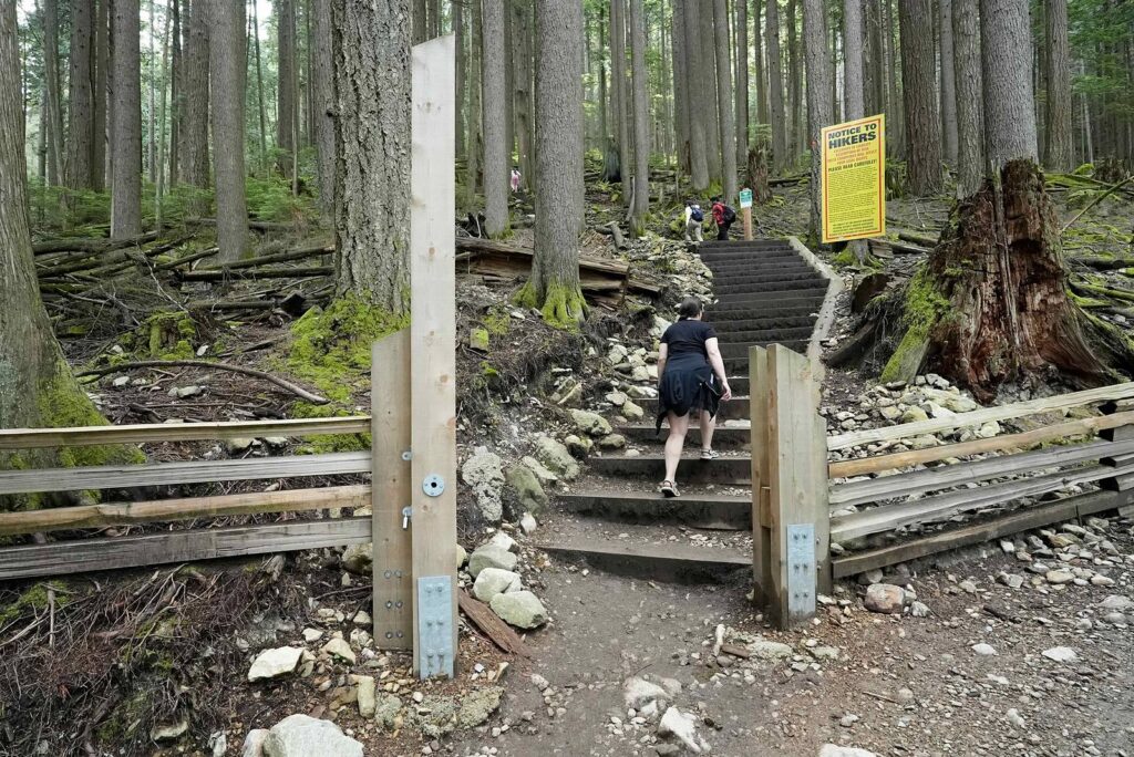 グラウスグラインド序盤の木の階段