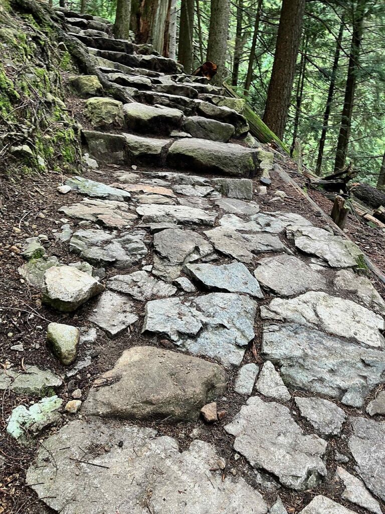 石を敷き詰めた急な登山道